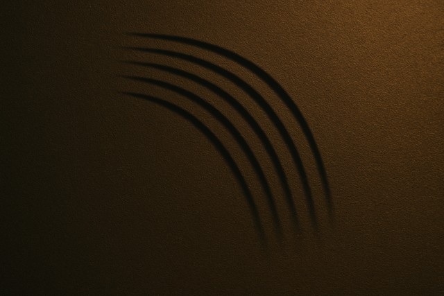 パソコンでの再生と取り込みの実務