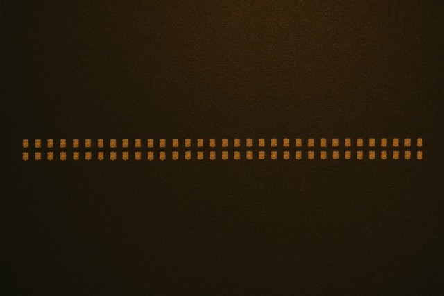 真偽と妥当性を見極める基準を設計する