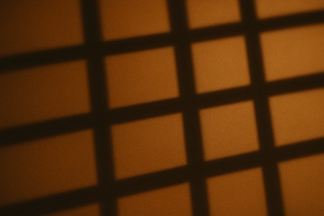 選び方とディガーの実践