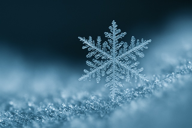 snowflake_crystal_macro