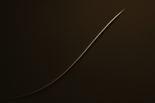 傾向を読み解く観点と仮説の立て方